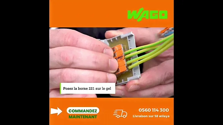 WAGO VIDEO PROMO long