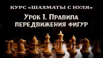 Урок 1. Правила игры в шахматы. Правила передвижения фигур. Курс для начинающих: "шахматы с нуля".